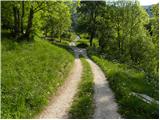 Krn - Planina Pretovč